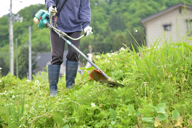 世田谷区で草刈りに最適な年3回の時期～楽に草刈りを終えるコツまで徹底解説