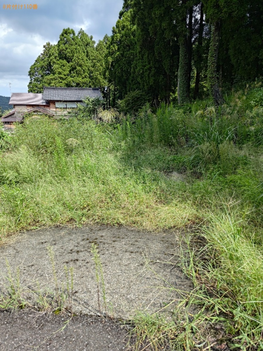 草刈り作業ご依頼　お客様の声